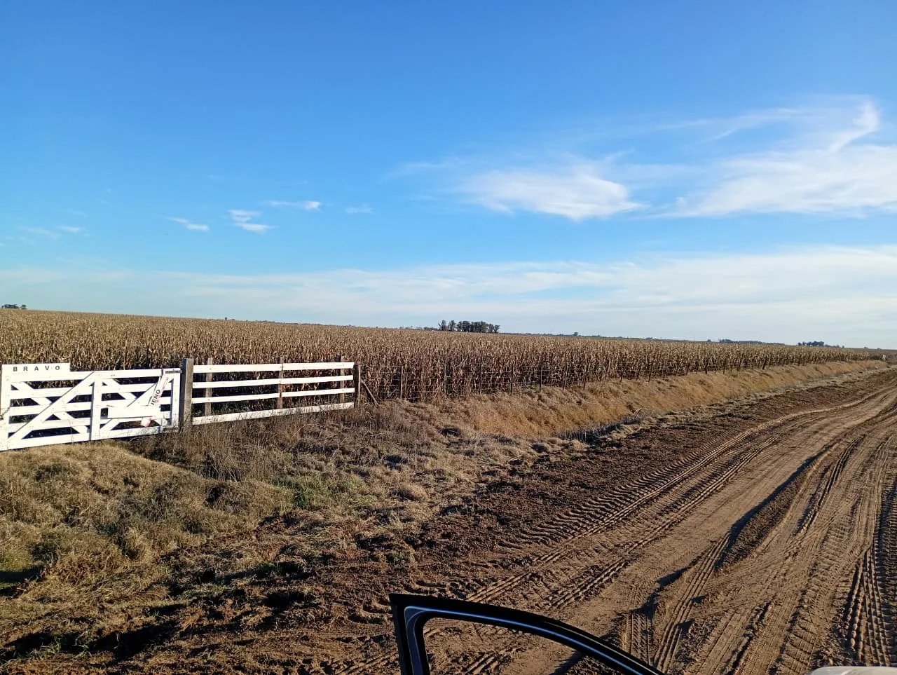 Campo 20 hectáreas en venta | Del Campillo | A 4 km Ruta 35 | Con molino y agua
