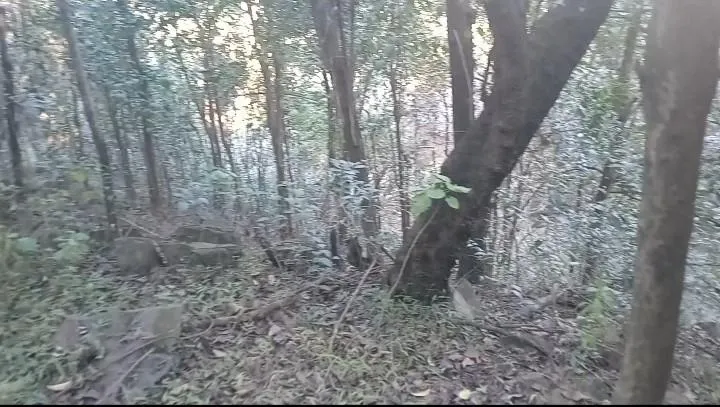 Un lugar para que uses tu imaginación